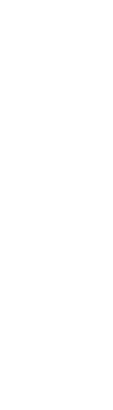 Forme décorative arrière-plan vidéo